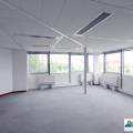 Location de bureau de 391 m² à Blagnac - 31700 photo - 4