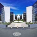 Location de bureau de 150 m² à Blagnac - 31700 photo - 4