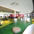 Location de bureau de 3 874 m² à Blagnac - 31700 photo - 6