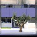Location de bureau de 4 264 m² à Blagnac - 31700 photo - 4