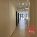 Location de bureau de 190 m² à Blagnac - 31700 photo - 5