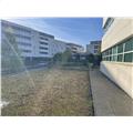 Location de bureau de 1 731 m² à Bordeaux - 33000 photo - 16