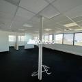 Location de bureau de 216 m² à Bruguières - 31150 photo - 8