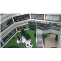 Location de bureau de 844 m² à Cergy - 95000 photo - 3
