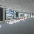 Location de bureau de 243 m² à Champagne-au-Mont-d'Or - 69410 photo - 3