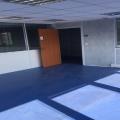 Location de bureau de 295 m² à Colomiers - 31770 photo - 3