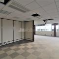 Location de bureau de 248 m² à Colomiers - 31770 photo - 4