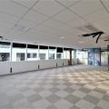 Location de bureau de 248 m² à Colomiers - 31770 photo - 8