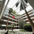 Location de bureau de 10 366 m² à Colomiers - 31770 photo - 10