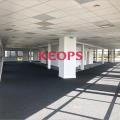 Location de bureau de 162 m² à Colomiers - 31770 photo - 8