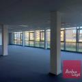 Location de bureau de 5 130 m² à Colomiers - 31770 photo - 4