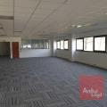Location de bureau de 280 m² à Colomiers - 31770 photo - 3