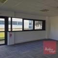 Location de bureau de 280 m² à Colomiers - 31770 photo - 5
