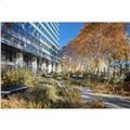 Location de bureau de 8 574 m² à Courbevoie - 92400 photo - 32
