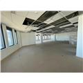 Location de bureau de 631 m² à Décines-Charpieu - 69150 photo - 9
