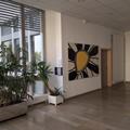 Location de bureau de 411 m² à Illzach - 68110 photo - 5