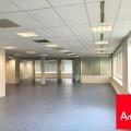 Location de bureau de 3 669 m² à Lieusaint - 77127 photo - 6