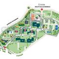 Location de bureau de 596 m² à Lingolsheim - 67380 plan - 2