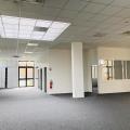 Location de bureau de 1 026 m² à Lingolsheim - 67380 photo - 3