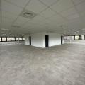 Location de bureau de 396 m² à Lingolsheim - 67380 photo - 3
