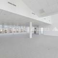 Location de bureau de 2 583 m² à Lyon 7 - 69007 photo - 13