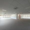 Location de bureau de 1 075 m² à Lyon 7 - 69007 photo - 5