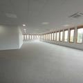 Location de bureau de 1 075 m² à Lyon 7 - 69007 photo - 6