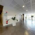 Location de bureau de 2 036 m² à Lyon 7 - 69007 photo - 5