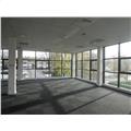 Location de bureau de 2 329 m² à Mulhouse - 68100 photo - 6