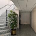 Location de bureau de 335 m² à Oberhausbergen - 67205 photo - 5