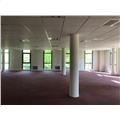 Location de bureau de 483 m² à Olivet - 45160 photo - 5