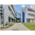 Location de bureau de 467 m² à Schiltigheim - 67300 photo - 5