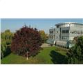 Location de bureau de 286 m² à Schiltigheim - 67300 photo - 16