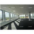 Location de bureau de 939 m² à Schiltigheim - 67300 photo - 14