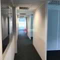 Location de bureau de 385 m² à Toulouse - 31000 photo - 3