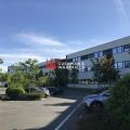 Location de bureau de 400 m² à Toulouse - 31000 photo - 2