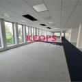 Location de bureau de 1 242 m² à Toulouse - 31000 photo - 10