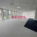 Location de bureau de 1 242 m² à Toulouse - 31000 photo - 12
