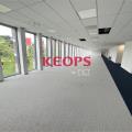 Location de bureau de 1 242 m² à Toulouse - 31000 photo - 13