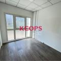 Location de bureau de 227 m² à Toulouse - 31000 photo - 13