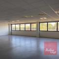 Location de bureau de 964 m² à Toulouse - 31000 photo - 5