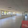 Location de bureau de 964 m² à Toulouse - 31000 photo - 2
