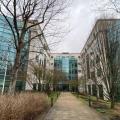 Location de bureau de 3 064 m² à Vélizy-Villacoublay - 78140 photo - 9