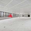 Location de bureau de 4 916 m² à Villeurbanne - 69100 photo - 12