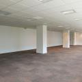Location de bureau de 239 m² à Voisins-le-Bretonneux - 78960 photo - 6