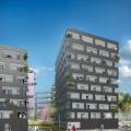 Location de local commercial de 244 m² à Brest - 29200 photo - 2