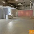 Location de local commercial de 426 m² à Colomiers - 31770 photo - 3