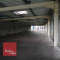 Location de local commercial de 480 m² à Colomiers - 31770 photo - 3