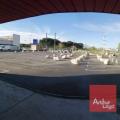 Location de local commercial de 4 055 m² à Portet-sur-Garonne - 31120 photo - 4