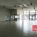 Location de local commercial de 1 000 m² à Toulouse - 31000 photo - 9